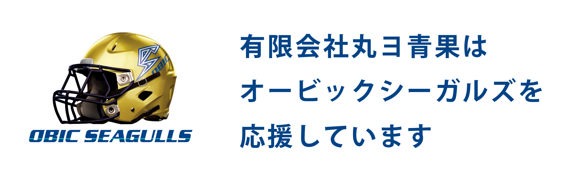 有限会社丸ヨ青果はオービックシーガルズを応援しています